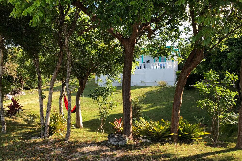Photo of Outdoor in Rainbow Bay