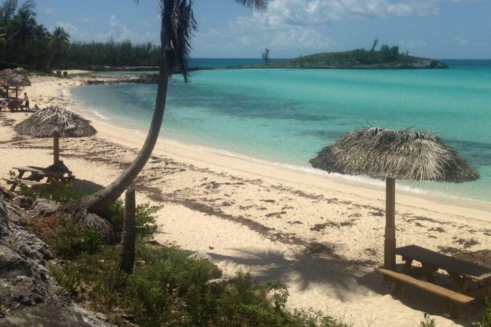 Photo of Outdoor in Rainbow Bay