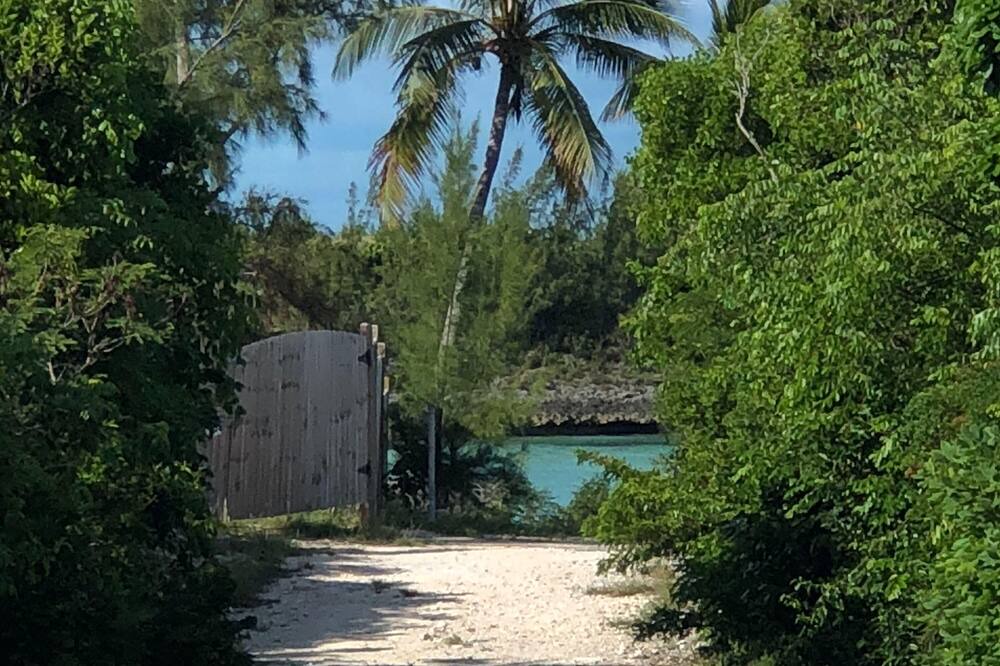 Photo of Outdoor in Rainbow Bay