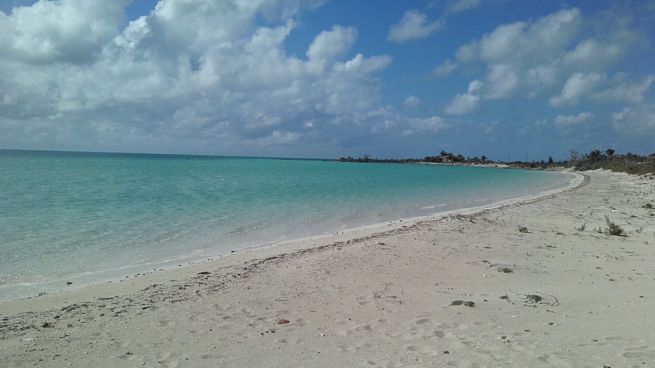 Photo of Others in New Bight
