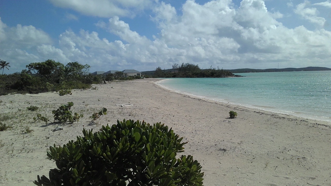 Photo of Others in New Bight