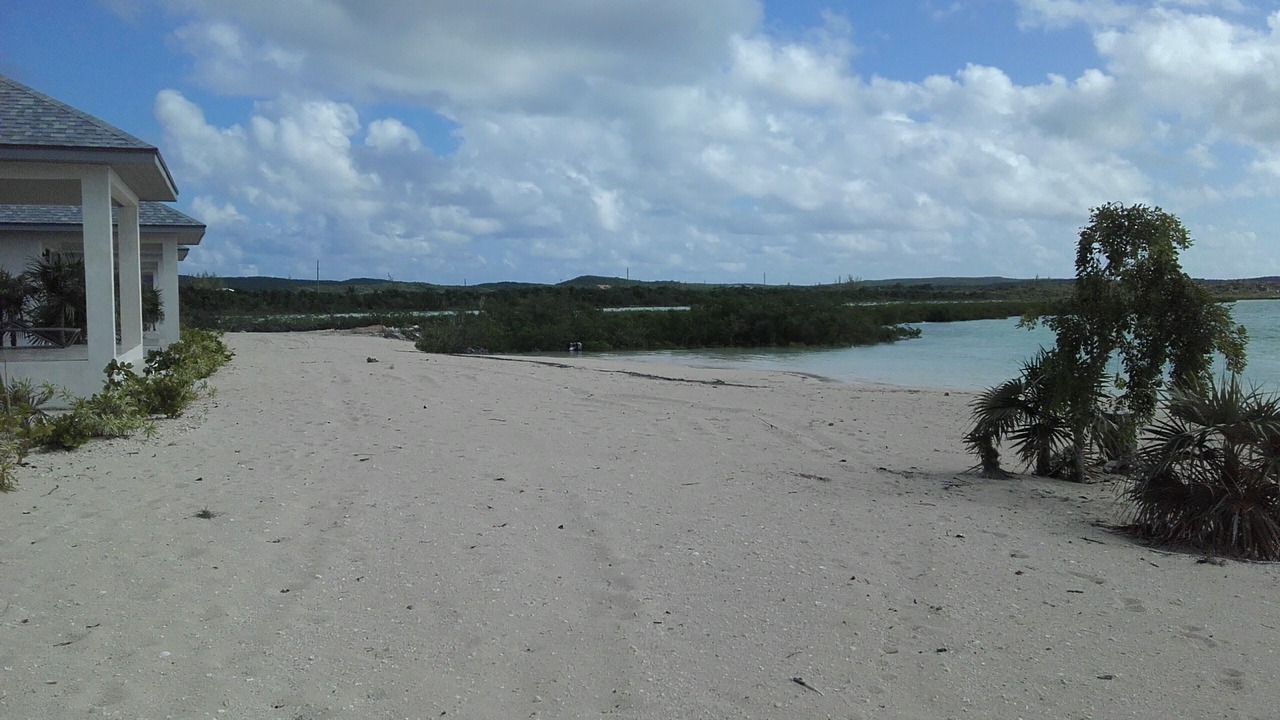 Photo of Others in New Bight