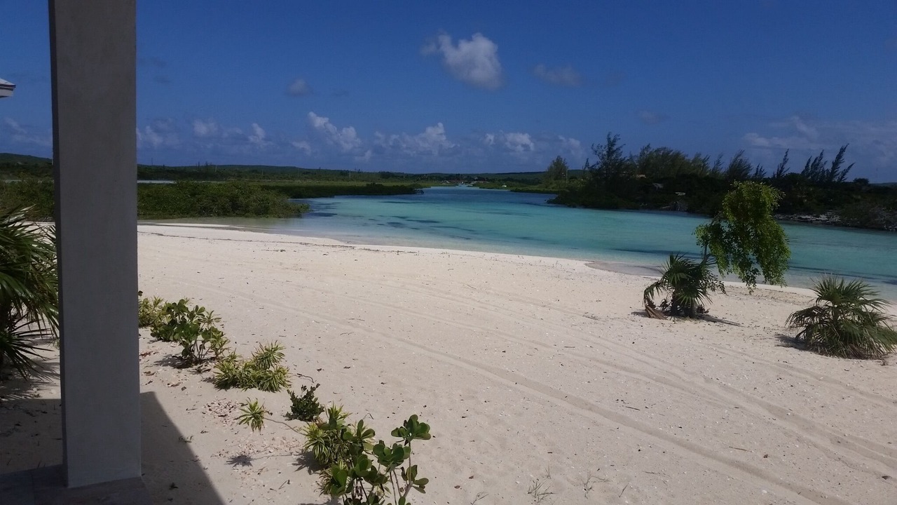 Photo of Others in New Bight