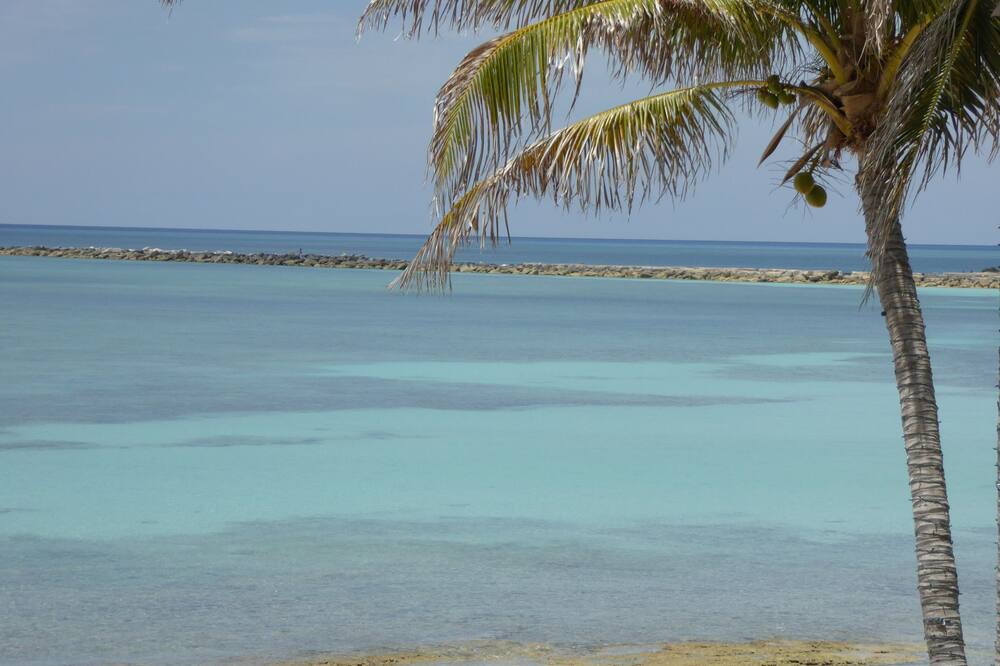 Photo of Others in Bahamas Terrace