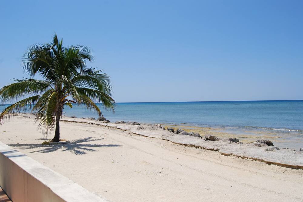 Photo of Others in Bahamas Terrace