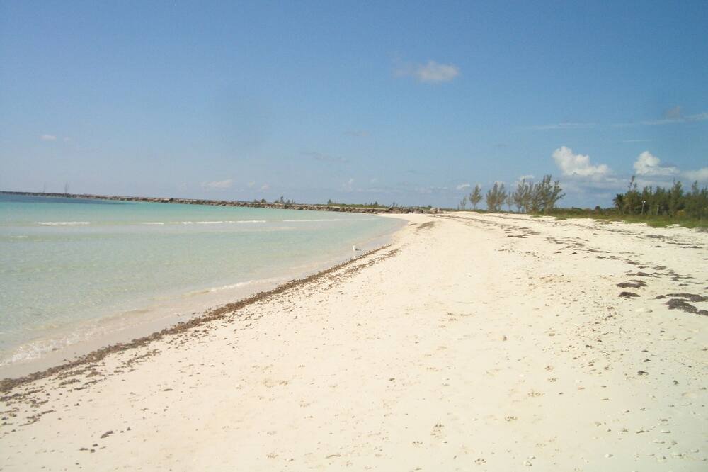 Photo of Others in Bahamas Terrace