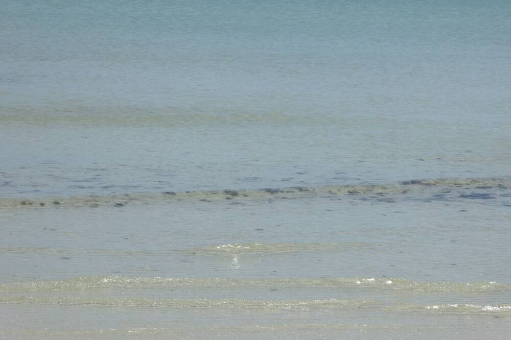 Photo of Others in Bahamas Terrace