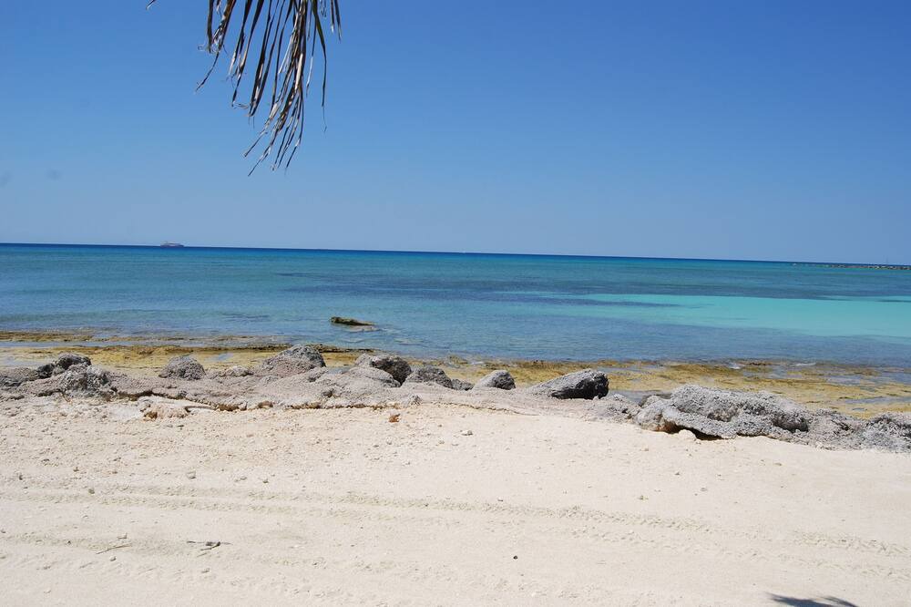 Photo of Others in Bahamas Terrace