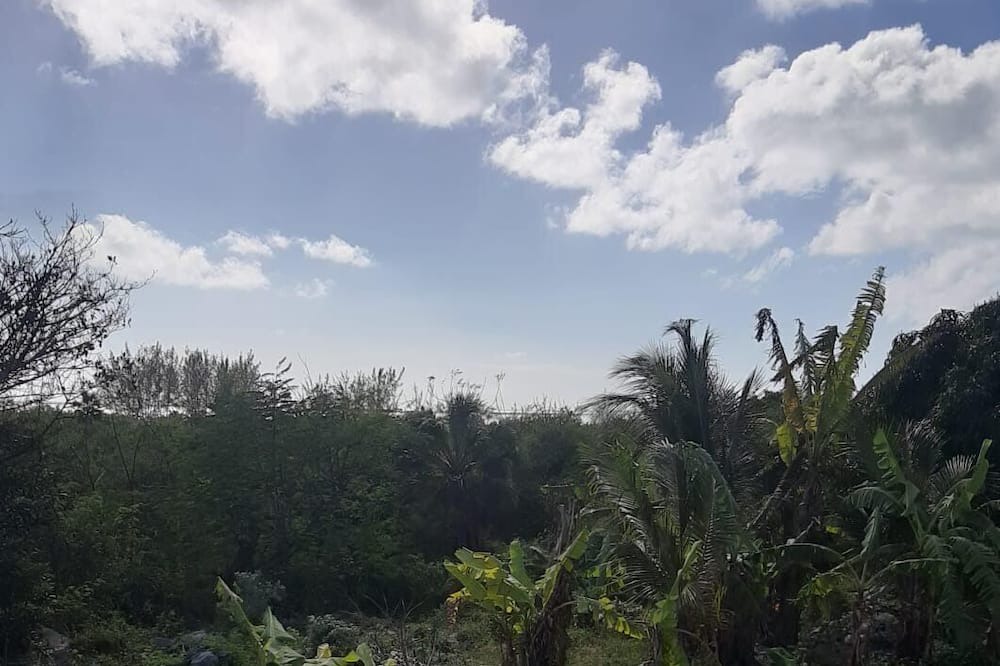 Photo of Outdoor in Winding Bay