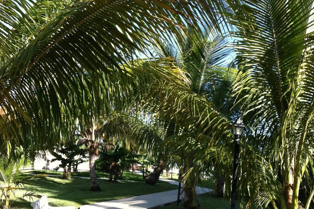 Photo of Outdoor in Williams Town
