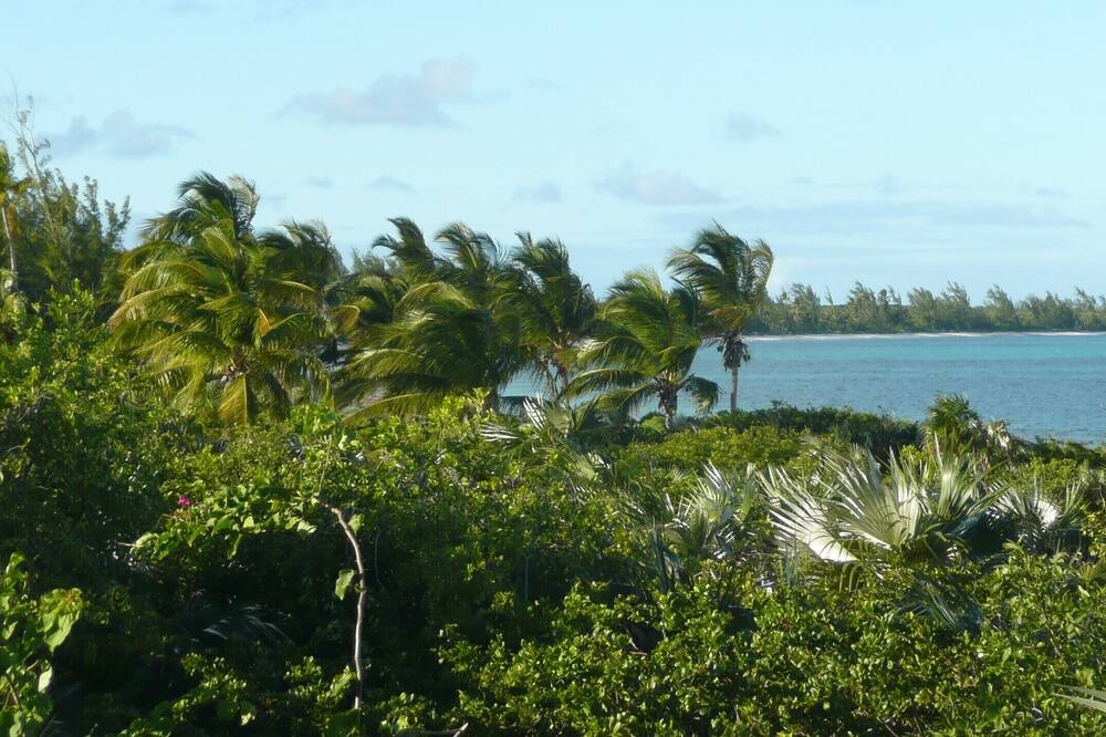 Photo of Others in Winding Bay
