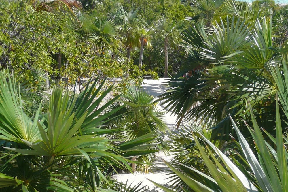 Photo of Outdoor in Winding Bay