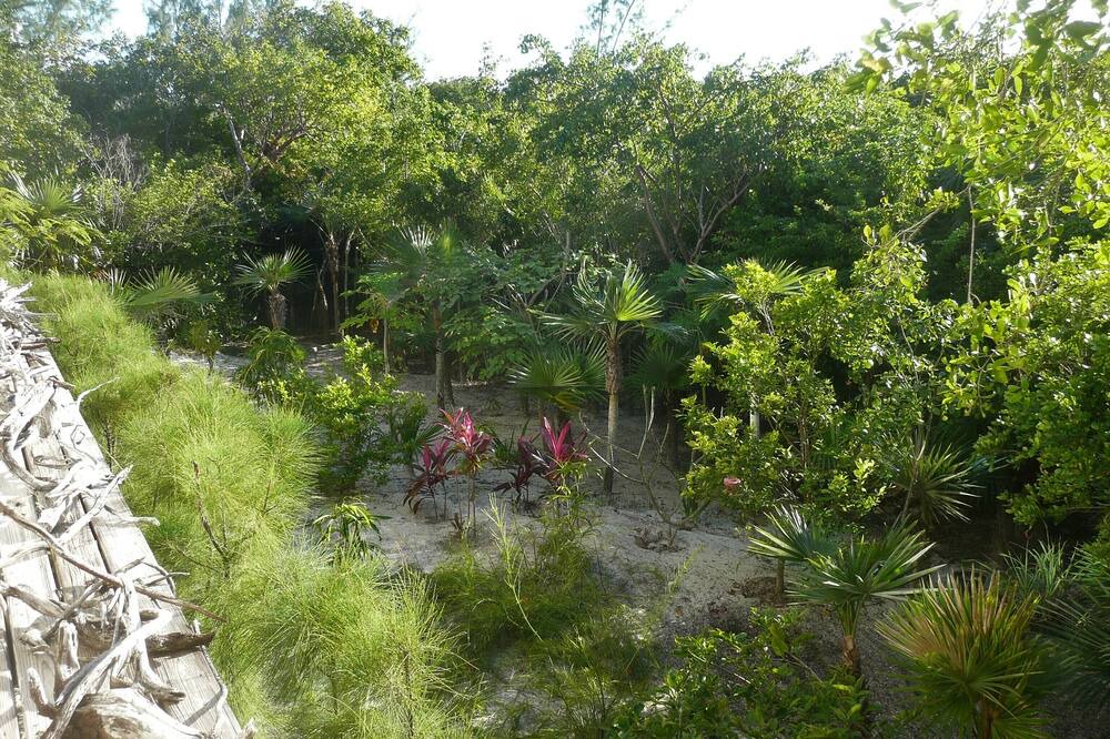 Photo of Outdoor in Winding Bay
