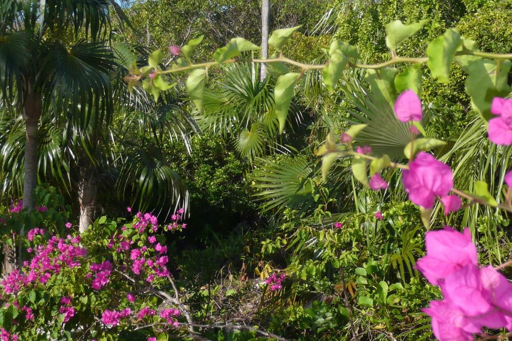 Photo of Outdoor in Winding Bay