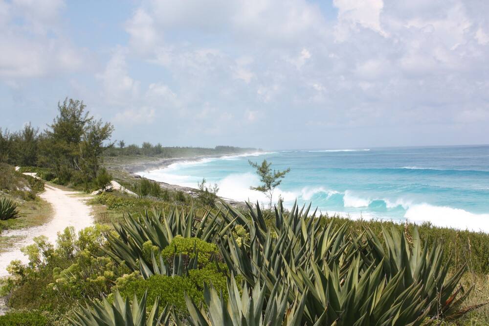 Photo of Outdoor in Rainbow Bay