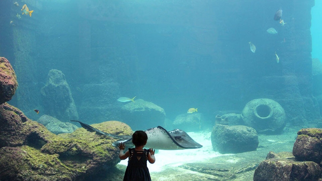 Photo of Outdoor in Nassau