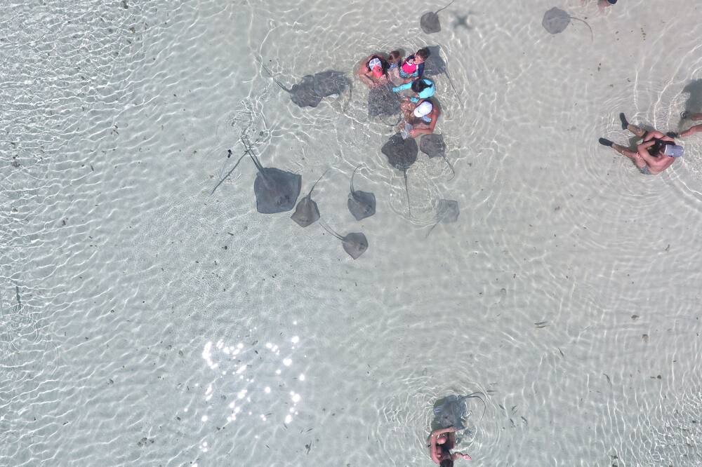 Photo of Others in North Bimini