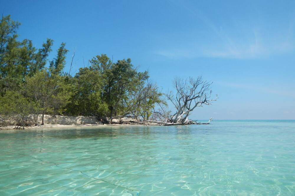 Photo of Others in North Bimini