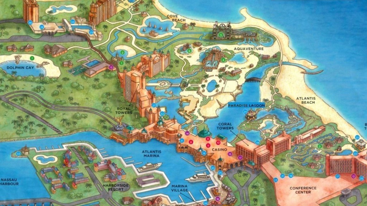 Photo of Others in Paradise Island