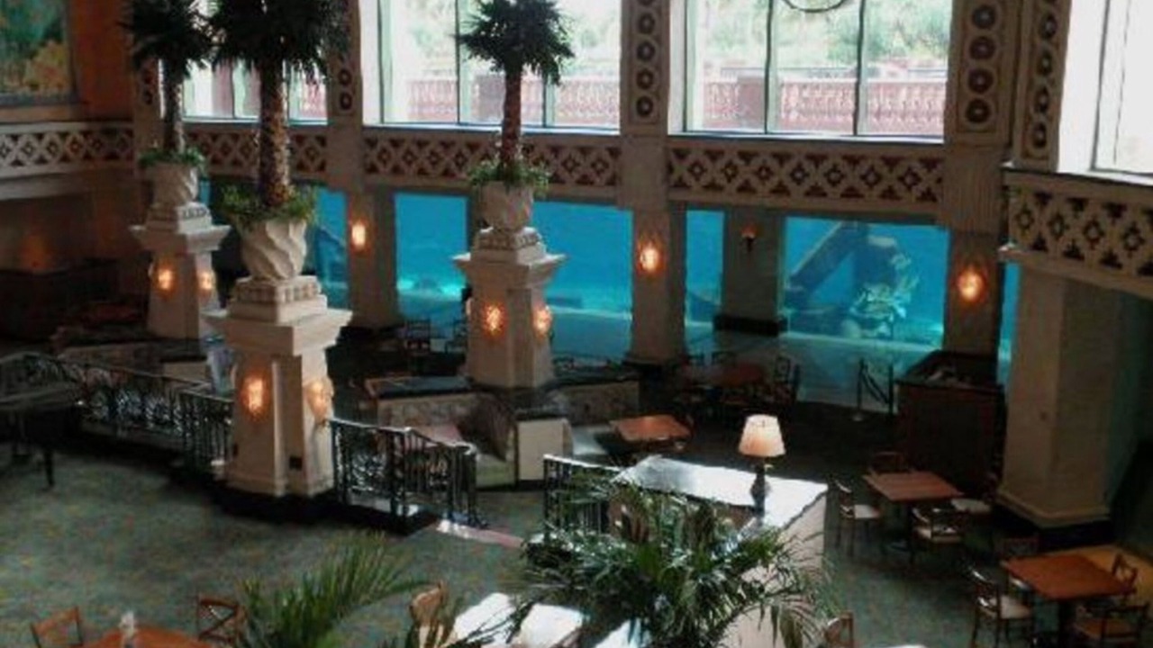 Photo of Others in Paradise Island