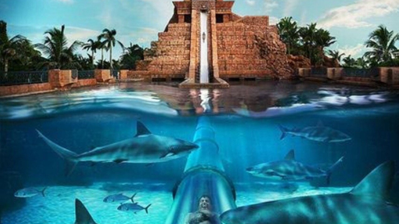 Photo of Outdoor in Paradise Island
