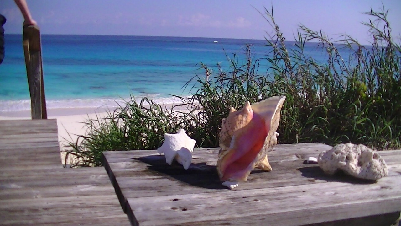 Photo of Outdoor in Great Guana Cay
