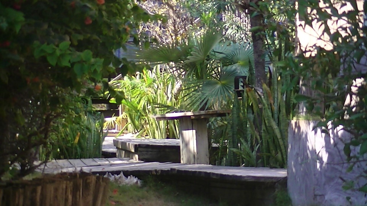 Photo of Outdoor in Great Guana Cay