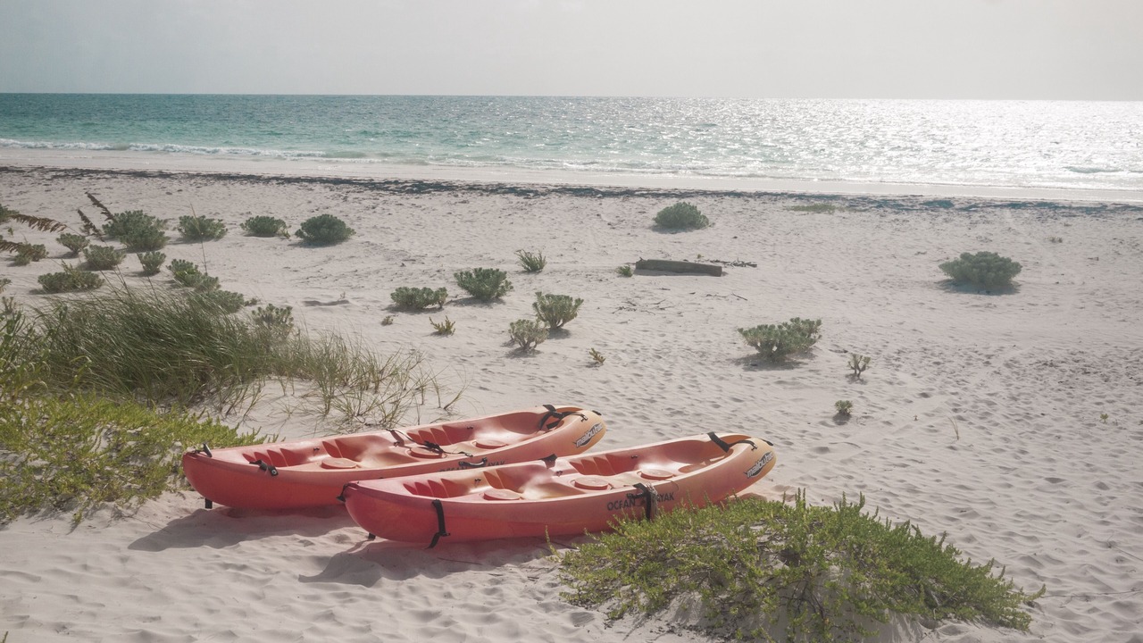 Photo of Others in Savannah Sound