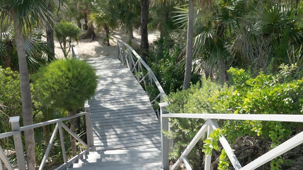 Photo of Outdoor in Savannah Sound