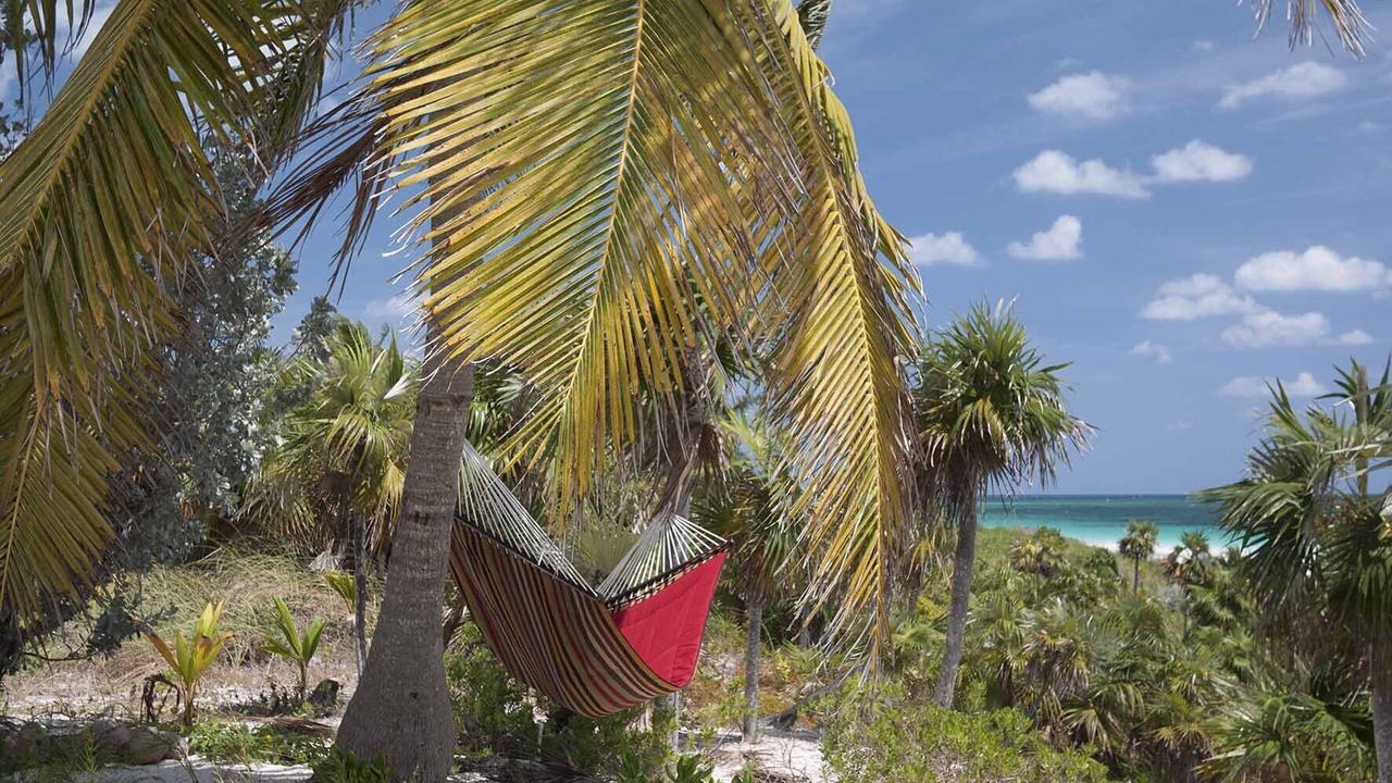 Photo of Outdoor in Savannah Sound