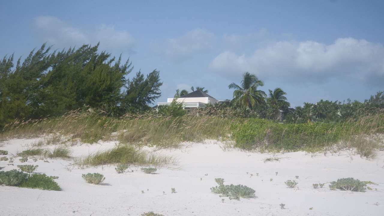 Photo of Others in Savannah Sound