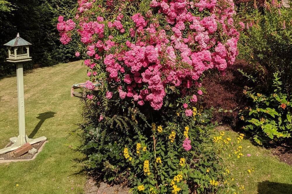 Photo of Outdoor in Burley