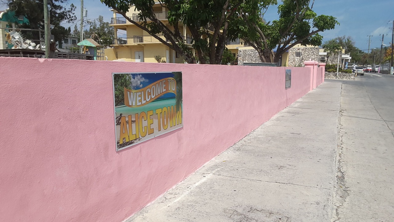 Photo of Outdoor in Alice Town