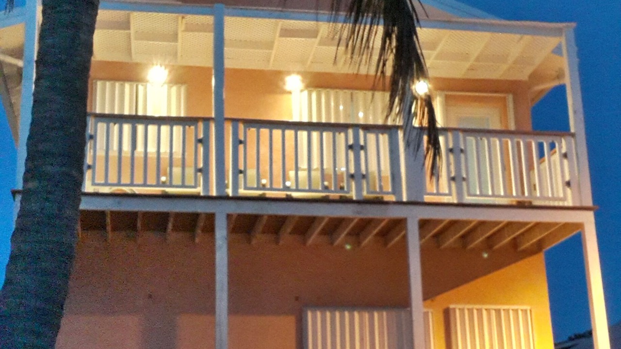 Photo of Outdoor in Alice Town