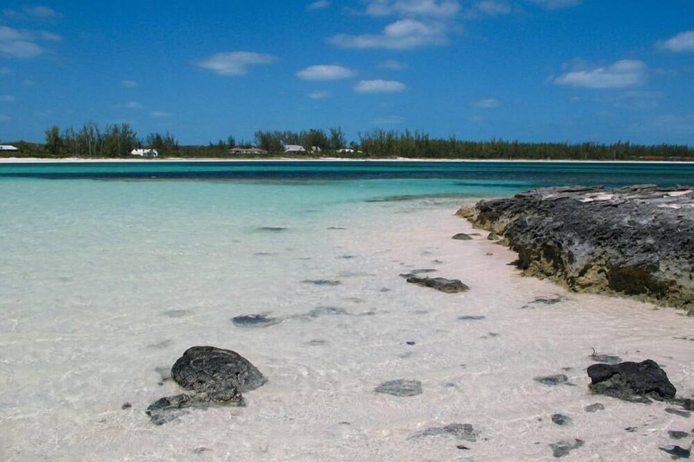 Photo of Others in Winding Bay