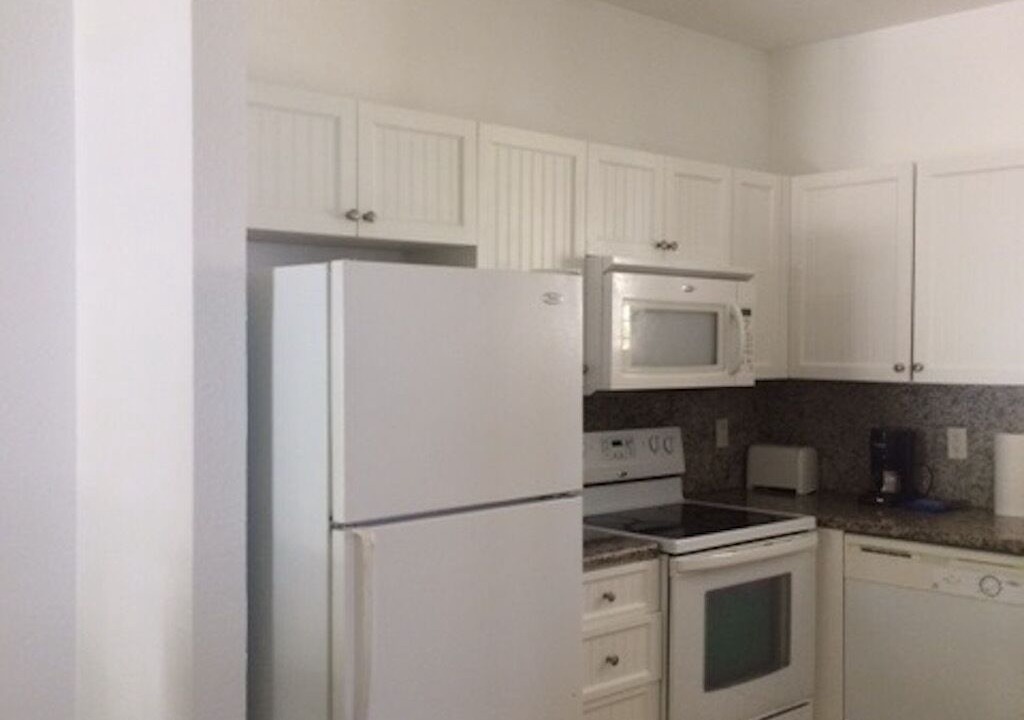 Photo of Kitchen in Alice Town