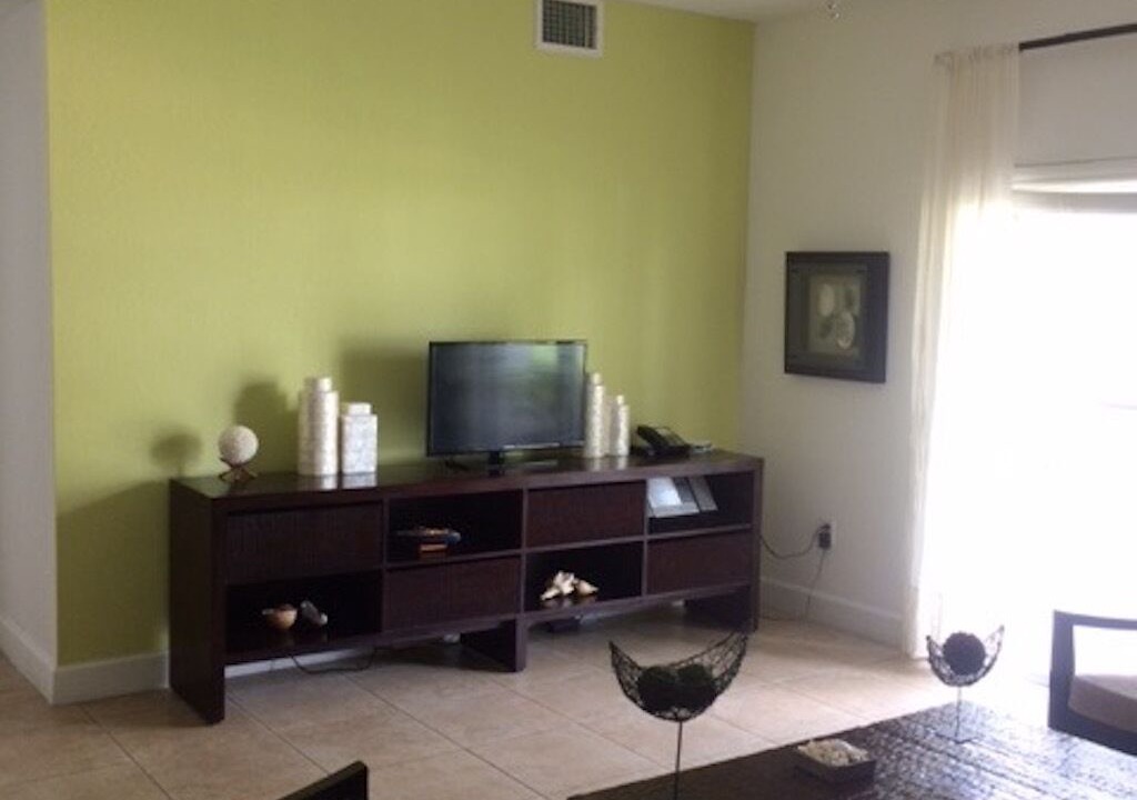 Photo of Livingroom in Alice Town