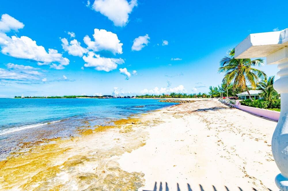 Photo of Others in Nassau