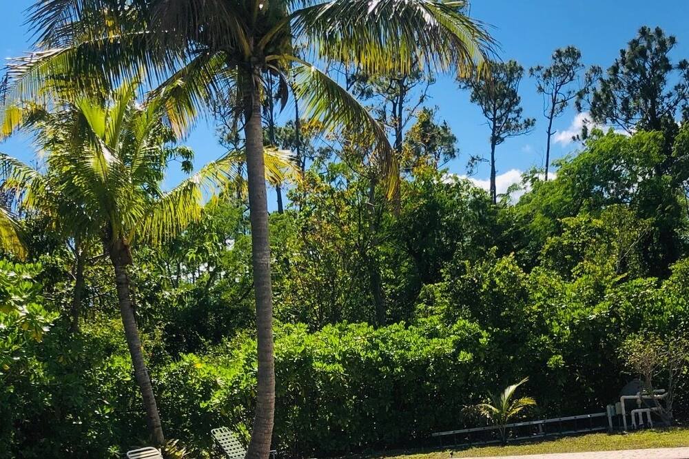 Photo of Outdoor in Lucaya