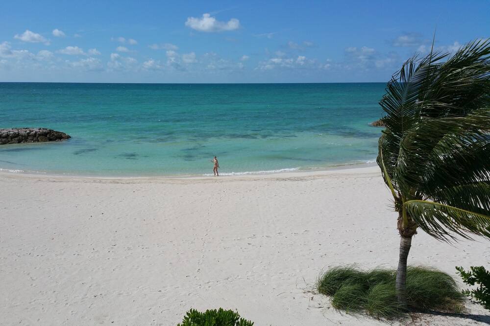 Photo of Others in Palm Cay