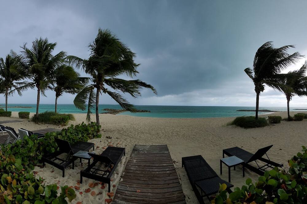 Photo of Others in Palm Cay