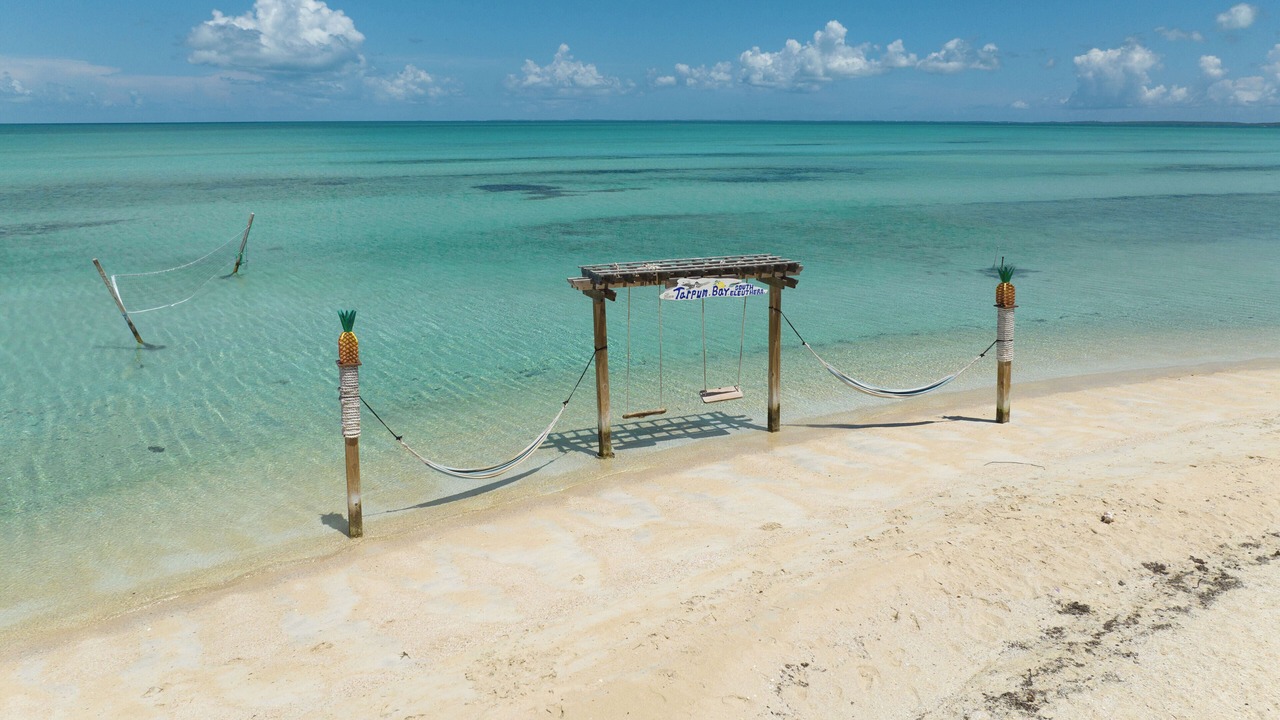 Photo of Others in Tarpum Bay