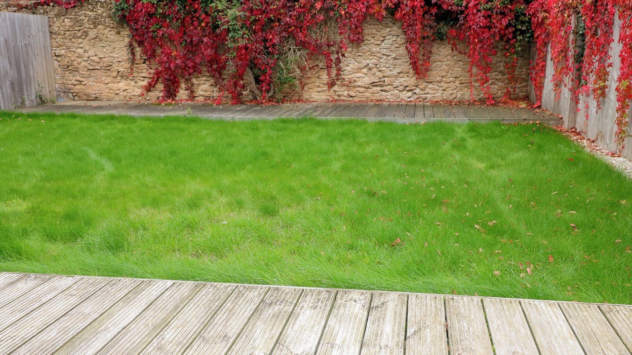 Photo of Outdoor in Skegby