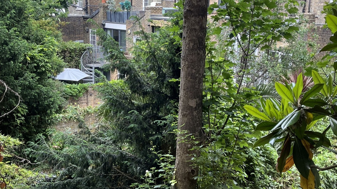 Photo of Others in Pembridge