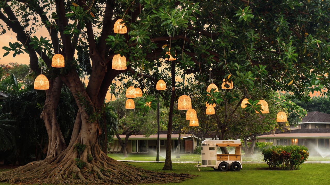 Photo of Outdoor in Historic Lahaina Front Street