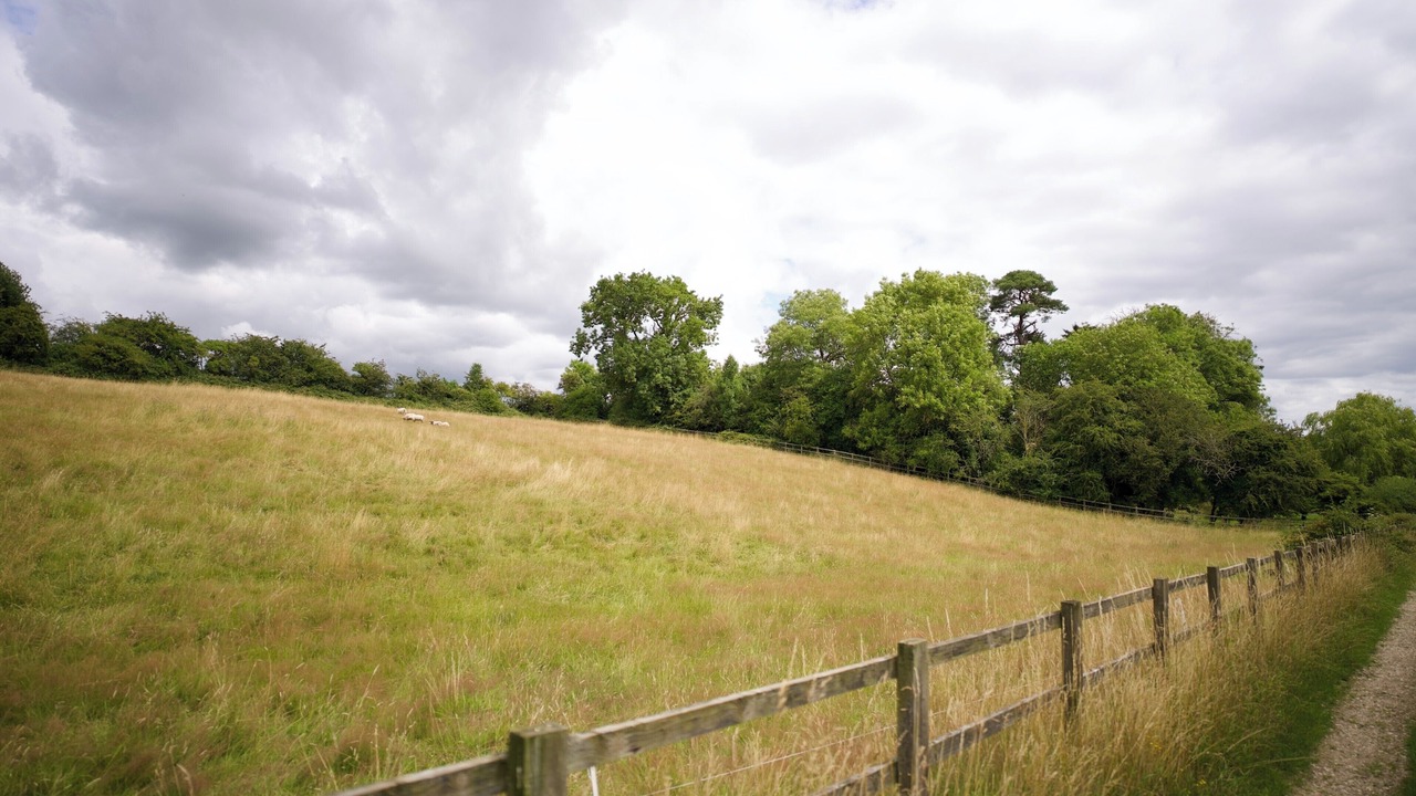 Photo of Others in Tring