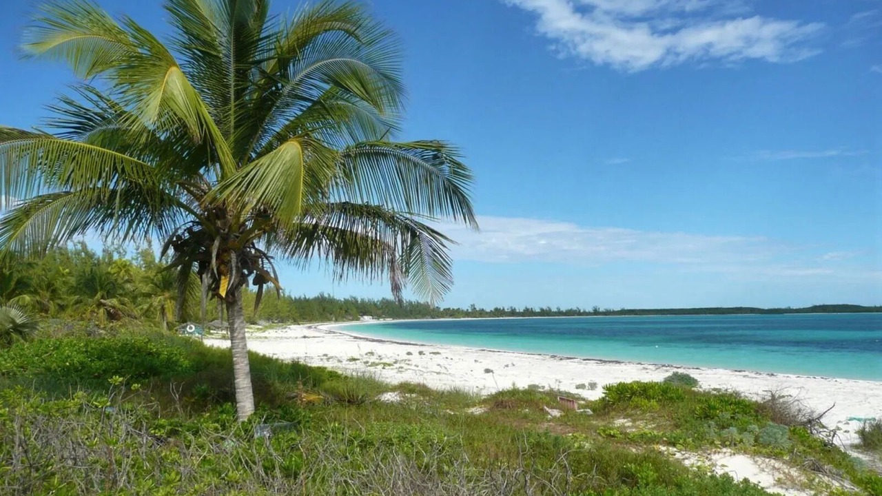 Photo of Others in Winding Bay