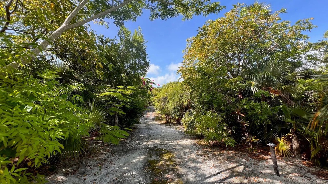 Photo of Others in Winding Bay