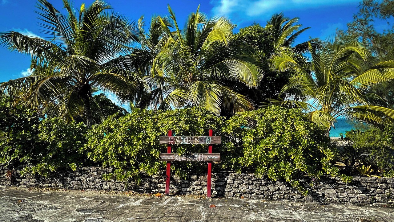 Photo of Outdoor in Rainbow Bay