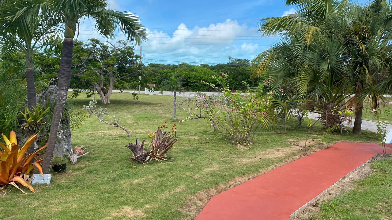 Photo of Outdoor in Long Island